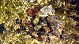 El diamante se forma en soledad.