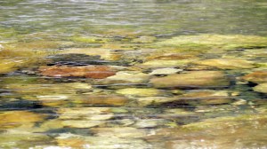 La quietud se expresa en colores.