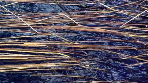 Todo camina hacia allí.