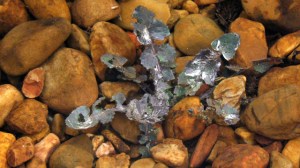 En cualquier recodo ¡hay vida!